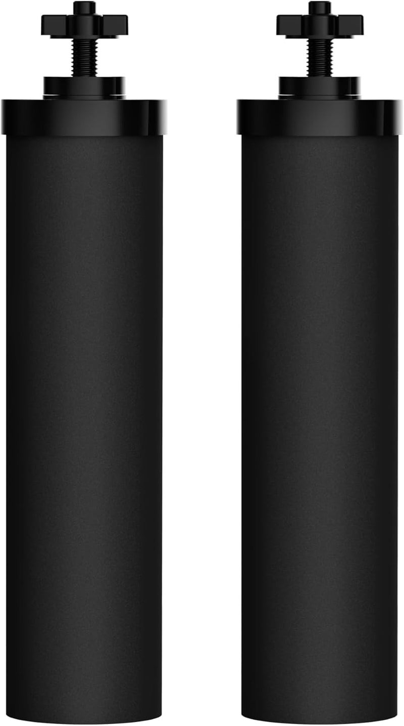 Waterdrop NSF/ANSI 42&372 Certified Water Filter, Replacement for Berkey® BB9-2® Black Filters, ProOne® or Alexapure® Gravity Water Filter System and King Tank Series, (Pack of 2) - Image 1